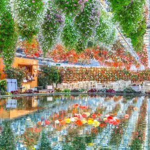 無料スマホ壁紙 まるで絵画の世界。AndroidとiPhoneに対応した4K高画質の無料待ち受け画像。三重県桑名市のなばなの里で撮影したフリー写真素材