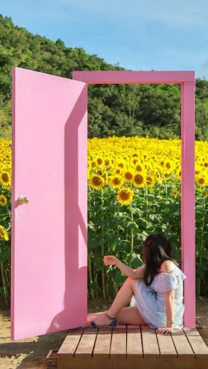 無料スマホ壁紙 どこでもドアで記念撮影。AndroidとiPhoneに対応した4K高画質の無料待ち受け画像。三重県志摩市の志摩市観光農園で撮影したフリー写真素材