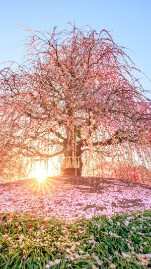 無料スマホ壁紙 龍の舞。AndroidとiPhoneに対応した4K高画質の無料待ち受け画像。三重県鈴鹿市の鈴鹿の森庭園で撮影したフリー写真素材