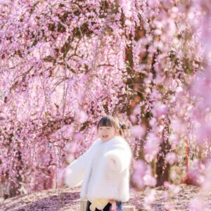 無料スマホ壁紙 梅の絶景で喜ぶ子供。AndroidとiPhoneに対応した4K高画質の無料待ち受け画像。三重県鈴鹿市の鈴鹿の森庭園で撮影したフリー写真素材