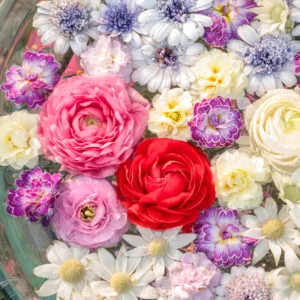 無料スマホ壁紙 おしゃれなバラの花手水。AndroidとiPhoneに対応した4K高画質の無料待ち受け画像。三重県鈴鹿市の鈴鹿の森庭園で撮影したフリー写真素材