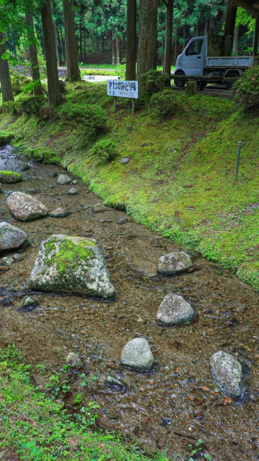 無料壁紙 魚のつかみ取りエリア。PCとデスクトップ壁紙に最適な4K高画質の無料壁紙。三重県津市の大吉あまごセンターで撮影したフリー写真素材