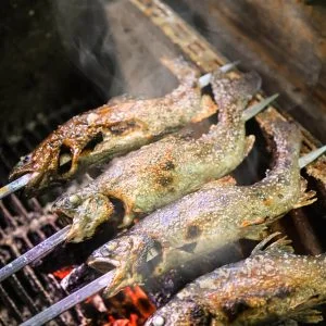 無料スマホ壁紙 ニジマス・アマゴの塩焼き。AndroidとiPhoneに対応した4K高画質の無料待ち受け画像。三重県津市の大吉あまごセンターで撮影したフリー写真素材