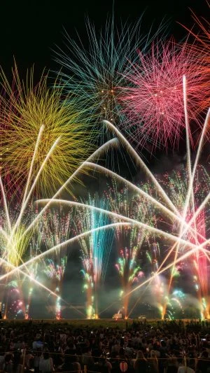 無料スマホ壁紙 カラフルで豪華な花火に圧倒される観客。AndroidとiPhoneに対応した4K高画質の無料待ち受け画像。三重県亀山市の亀山市関宿納涼花火大会で撮影したフリー写真素材