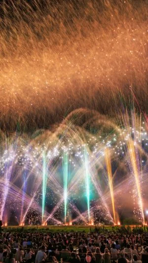 無料スマホ壁紙 虹色の花火に圧倒される観客。AndroidとiPhoneに対応した4K高画質の無料待ち受け画像。三重県亀山市の亀山市関宿納涼花火大会で撮影したフリー写真素材