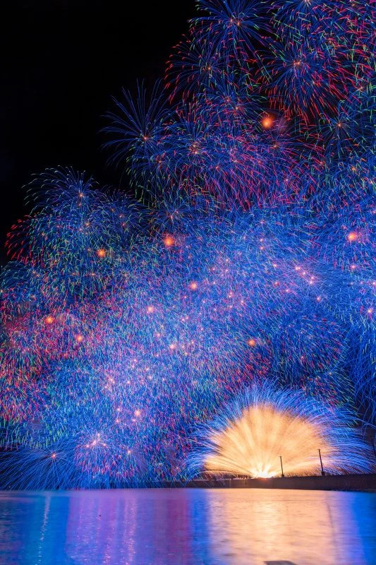 無料スマホ壁紙 彩色千輪菊。AndroidとiPhoneに対応した4K高画質の無料待ち受け画像。三重県紀北町のきほく燈籠祭で撮影したフリー写真素材