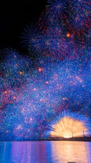 無料スマホ壁紙 彩色千輪菊。AndroidとiPhoneに対応した4K高画質の無料待ち受け画像。三重県紀北町のきほく燈籠祭で撮影したフリー写真素材