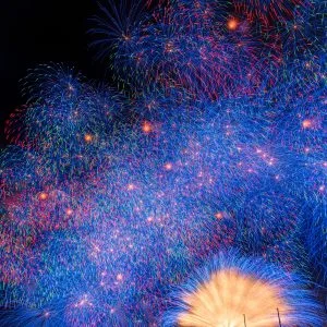 無料スマホ壁紙 彩色千輪菊。AndroidとiPhoneに対応した4K高画質の無料待ち受け画像。三重県紀北町のきほく燈籠祭で撮影したフリー写真素材