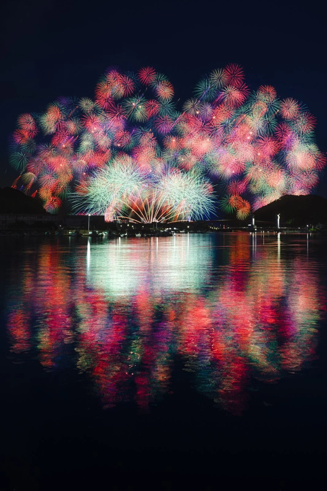 無料スマホ壁紙 2025年版の彩色千輪菊。AndroidとiPhoneに対応した4K高画質の無料待ち受け画像。三重県紀北町のきほく燈籠祭で撮影したフリー写真素材