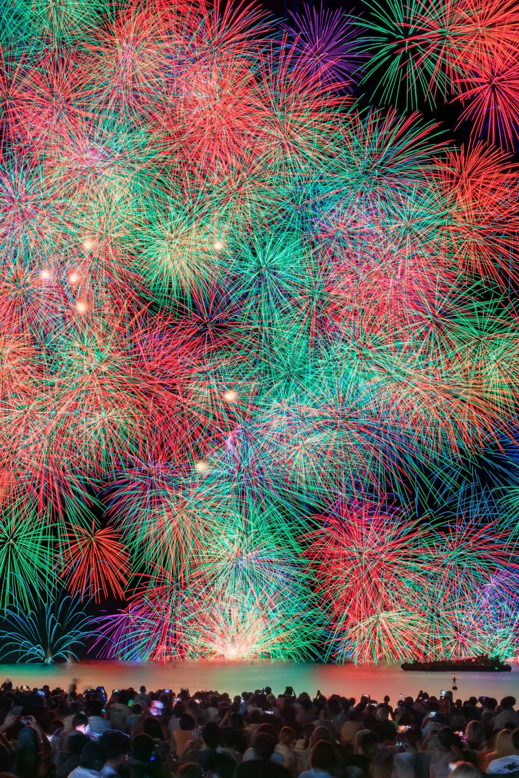 無料スマホ壁紙 2024年の彩色千輪菊（鬼ヶ城大仕掛け）。AndroidとiPhoneに対応した4K高画質の無料待ち受け画像。三重県熊野市の熊野大花火大会で撮影したフリー写真素材