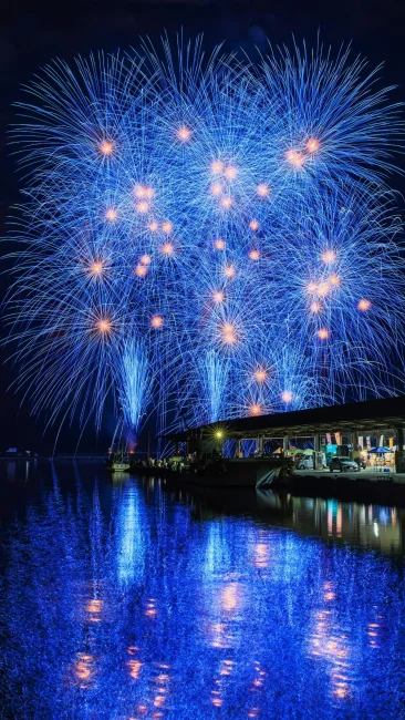 2026年の青色千輪（三重県尾鷲市・おわせ港まつり）