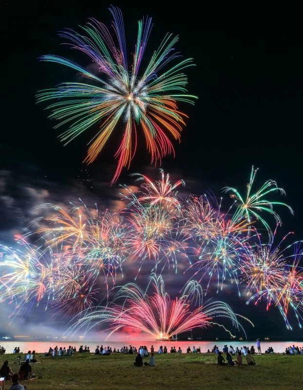 無料スマホ壁紙 ワンダフル花回廊_縦F。AndroidとiPhoneに対応した4K高画質の無料待ち受け画像。三重県津市の津花火大会で撮影したフリー写真素材