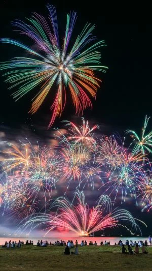 無料スマホ壁紙 ワンダフル花回廊_縦F。AndroidとiPhoneに対応した4K高画質の無料待ち受け画像。三重県津市の津花火大会で撮影したフリー写真素材