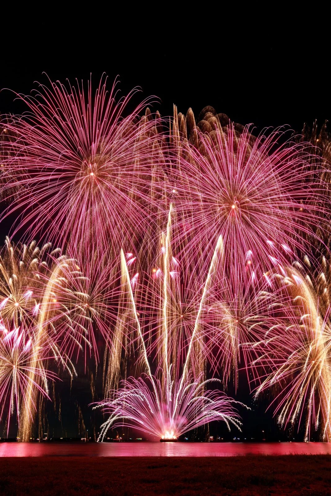 運気が上がる待ち受け しだれ桜の連発花火。AndroidとiPhoneに対応した4K高画質の無料スマホ壁紙。三重県津市の津花火大会で撮影したフリー写真素材