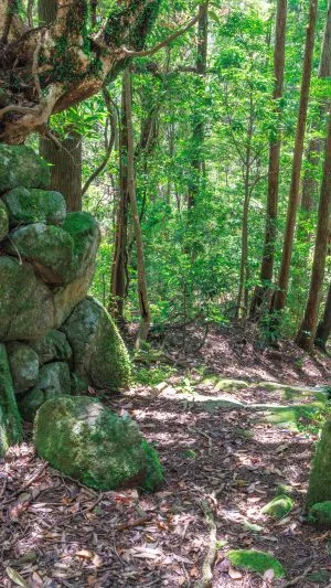 無料壁紙 集落跡の入口。PCとデスクトップ壁紙に最適な4K高画質の無料壁紙。三重県尾鷲市の盛松で撮影したフリー写真素材