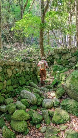 無料壁紙 集落跡の遊歩道を歩くツアーガイドさん。PCとデスクトップ壁紙に最適な4K高画質の無料壁紙。三重県尾鷲市の盛松で撮影したフリー写真素材