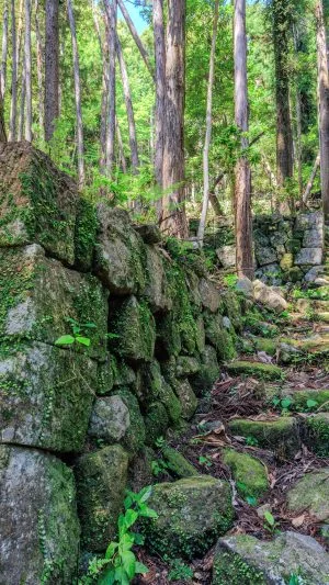 無料壁紙 集落跡の石垣と遊歩道。PCとデスクトップ壁紙に最適な4K高画質の無料壁紙。三重県尾鷲市の盛松で撮影したフリー写真素材