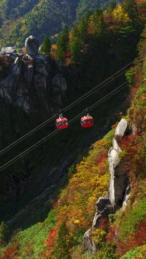無料スマホ壁紙 ２つのゴンドラと紅葉。AndroidとiPhoneに対応した4K高画質の無料待ち受け画像。三重県菰野町の御在所ロープウエイで撮影したフリー写真素材