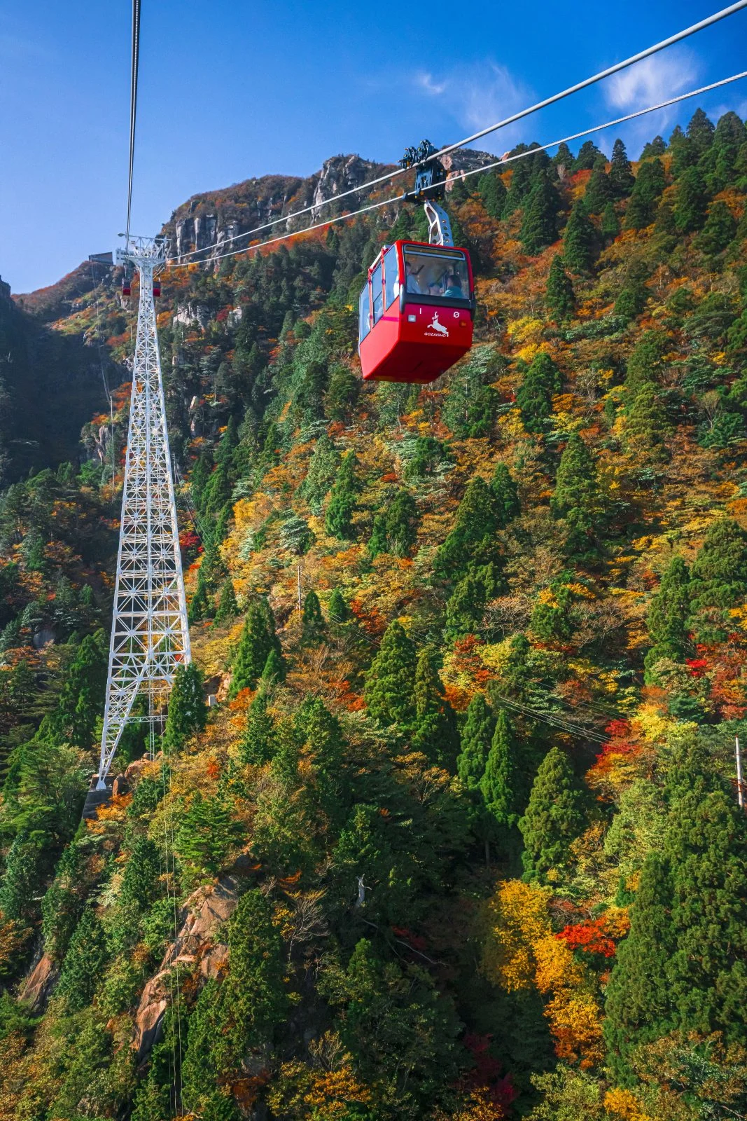 無料スマホ壁紙 白鉄塔と紅葉。AndroidとiPhoneに対応した4K高画質の無料待ち受け画像。三重県菰野町の御在所ロープウエイで撮影したフリー写真素材