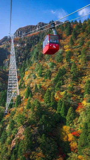 無料スマホ壁紙 白鉄塔と紅葉。AndroidとiPhoneに対応した4K高画質の無料待ち受け画像。三重県菰野町の御在所ロープウエイで撮影したフリー写真素材