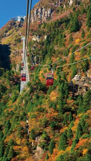 無料スマホ壁紙 白鉄塔とゴンドラと紅葉。AndroidとiPhoneに対応した4K高画質の無料待ち受け画像。三重県菰野町の御在所ロープウエイで撮影したフリー写真素材