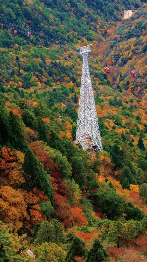 無料スマホ壁紙 御在所岳の紅葉グラデーション。AndroidとiPhoneに対応した4K高画質の無料待ち受け画像。三重県菰野町の御在所ロープウエイで撮影したフリー写真素材