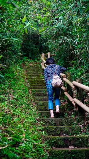 無料スマホ壁紙 山道。AndroidとiPhoneに対応した4K高画質の無料待ち受け画像。三重県鳥羽市の神島で撮影したフリー写真素材