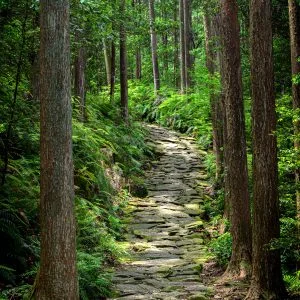 無料スマホ壁紙 新緑の石畳。AndroidとiPhoneに対応した4K高画質の無料待ち受け画像。三重県紀北町の馬越峠で撮影したフリー写真素材