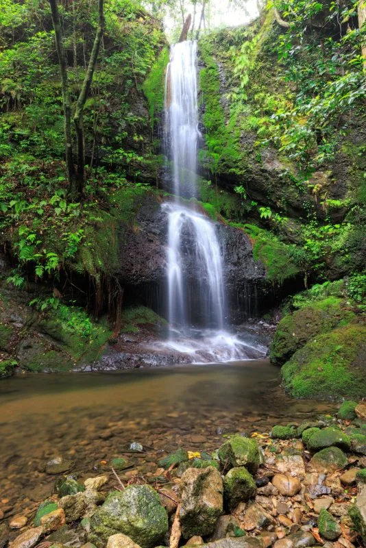 無料スマホ壁紙 滝と滝壺。AndroidとiPhoneに対応した4K高画質の無料待ち受け画像。三重県尾鷲市の村嶋不動滝で撮影したフリー写真素材