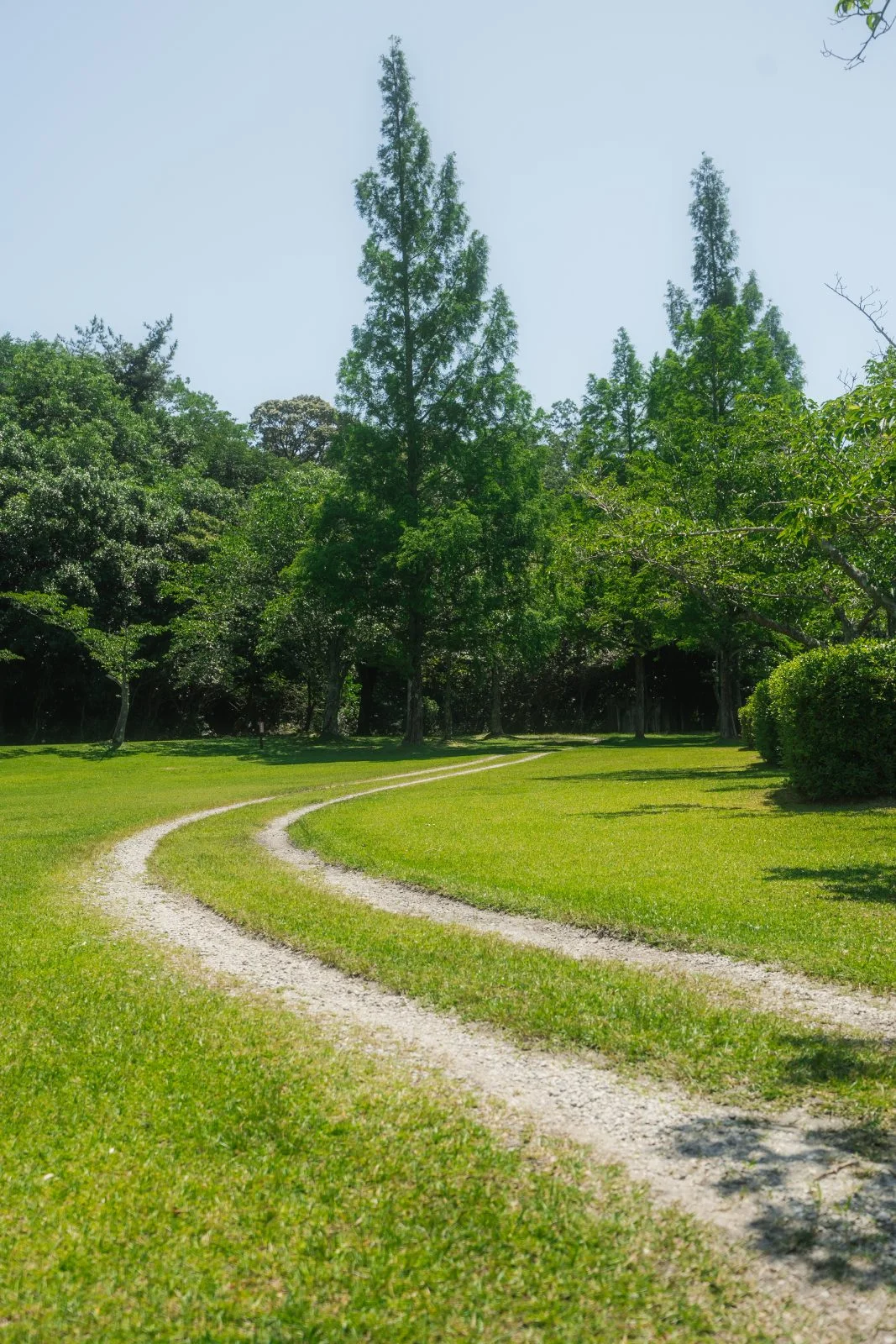 無料スマホ壁紙 自然豊かな散歩道。AndroidとiPhoneに対応した4K高画質の無料待ち受け画像。三重県津市の東青山 四季の里で撮影したフリー写真素材