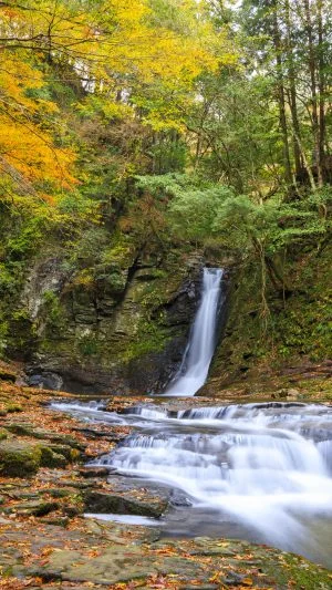 無料スマホ壁紙 静寂な琵琶滝の秋。AndroidとiPhoneに対応した4K高画質の無料待ち受け画像。三重県名張市の赤目四十八滝で撮影したフリー写真素材