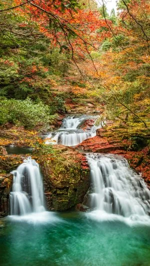 無料スマホ壁紙 荷担滝の紅葉美。AndroidとiPhoneに対応した4K高画質の無料待ち受け画像。三重県名張市の赤目四十八滝で撮影したフリー写真素材