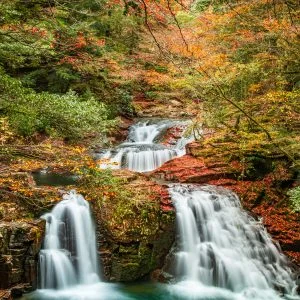 無料スマホ壁紙 荷担滝の紅葉美。AndroidとiPhoneに対応した4K高画質の無料待ち受け画像。三重県名張市の赤目四十八滝で撮影したフリー写真素材