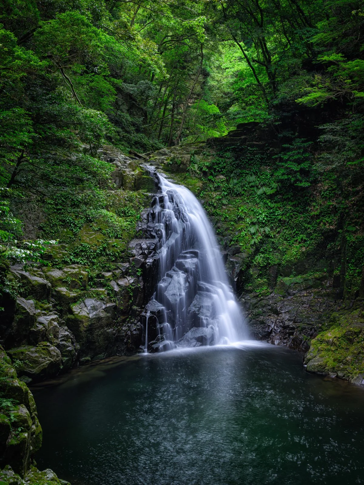 無料スマホ壁紙 新緑に囲まれる不動滝。AndroidとiPhoneに対応した4K高画質の無料待ち受け画像。三重県名張市の赤目四十八滝で撮影したフリー写真素材