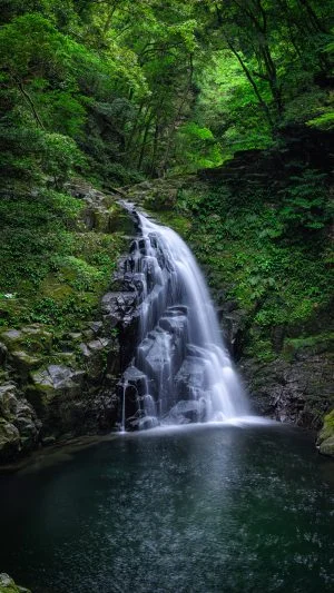 無料スマホ壁紙 新緑に囲まれる不動滝。AndroidとiPhoneに対応した4K高画質の無料待ち受け画像。三重県名張市の赤目四十八滝で撮影したフリー写真素材