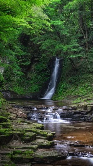 無料スマホ壁紙 新緑に囲まれる琵琶滝。AndroidとiPhoneに対応した4K高画質の無料待ち受け画像。三重県名張市の赤目四十八滝で撮影したフリー写真素材