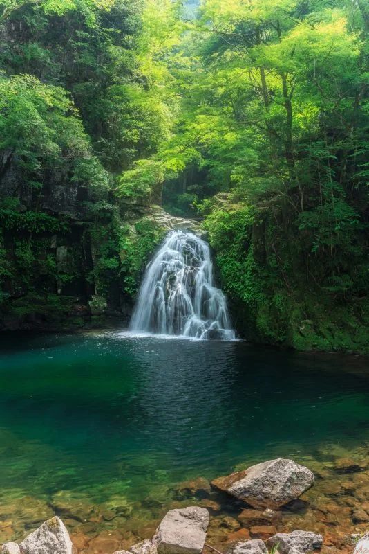 無料スマホ壁紙 新緑に輝く千手滝。AndroidとiPhoneに対応した4K高画質の無料待ち受け画像。三重県名張市の赤目四十八滝で撮影したフリー写真素材