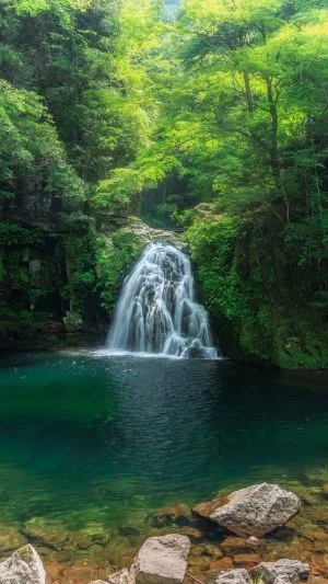 無料スマホ壁紙 新緑に輝く千手滝。AndroidとiPhoneに対応した4K高画質の無料待ち受け画像。三重県名張市の赤目四十八滝で撮影したフリー写真素材