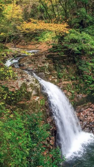 無料スマホ壁紙 不動滝の紅葉。AndroidとiPhoneに対応した4K高画質の無料待ち受け画像。三重県名張市の赤目四十八滝で撮影したフリー写真素材