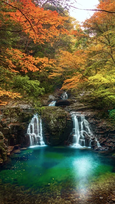 荷担滝の紅葉グラデーション（三重県名張市・赤目四十八滝）