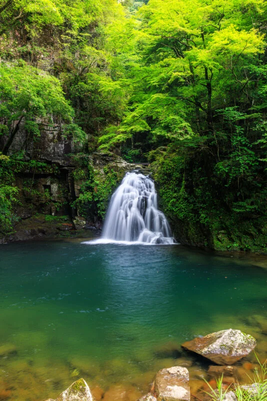 清らかな緑の滝壺（三重県名張市・赤目四十八滝）