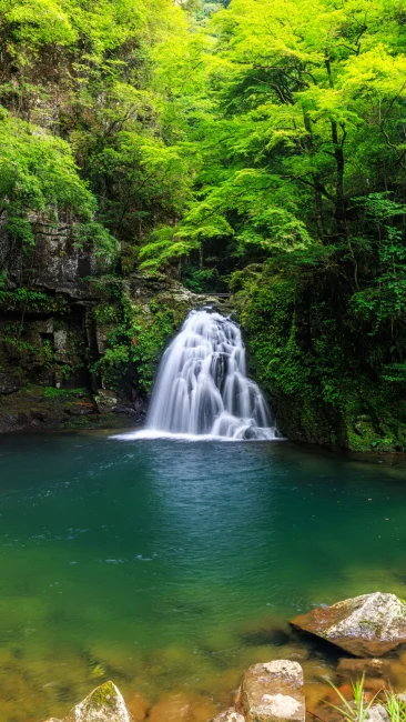 清らかな緑の滝壺（三重県名張市・赤目四十八滝）
