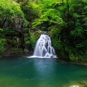清らかな緑の滝壺（三重県名張市・赤目四十八滝）