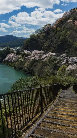 無料壁紙 茶倉の階段からお花見。PCとデスクトップ壁紙に最適な4K高画質の無料壁紙。三重県松阪市の道の駅 茶倉駅で撮影したフリー写真素材