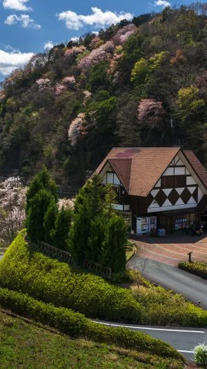 無料壁紙 茶倉と山桜。PCとデスクトップ壁紙に最適な4K高画質の無料壁紙。三重県松阪市の道の駅 茶倉駅で撮影したフリー写真素材