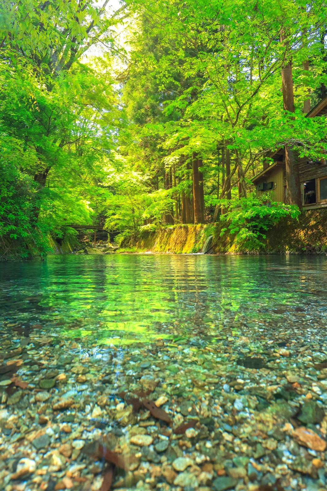 無料スマホ壁紙 坂本川と新緑。AndroidとiPhoneに対応した4K高画質の無料待ち受け画像。三重県津市の大吉あまごセンターで撮影したフリー写真素材