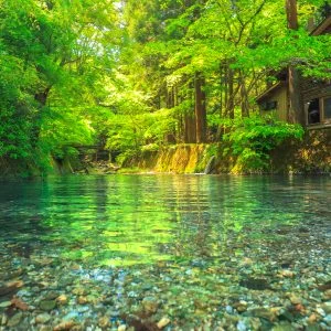 無料スマホ壁紙 坂本川と新緑。AndroidとiPhoneに対応した4K高画質の無料待ち受け画像。三重県津市の大吉あまごセンターで撮影したフリー写真素材