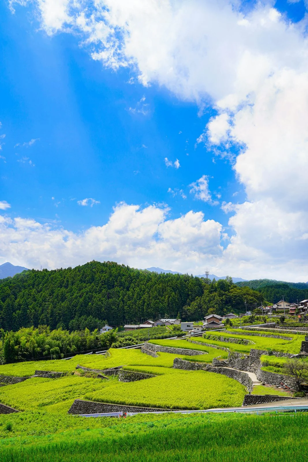 無料スマホ壁紙 美しい入道雲。AndroidとiPhoneに対応した4K高画質の無料待ち受け画像。三重県松阪市の深野のだんだん田で撮影したフリー写真素材