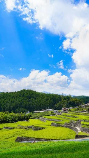 無料スマホ壁紙 美しい入道雲。AndroidとiPhoneに対応した4K高画質の無料待ち受け画像。三重県松阪市の深野のだんだん田で撮影したフリー写真素材