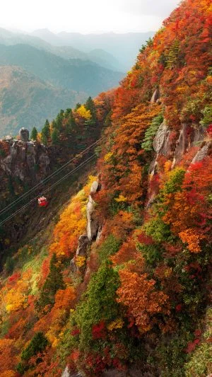 無料スマホ壁紙 御在所岳の真っ赤な紅葉。AndroidとiPhoneに対応した4K高画質の無料待ち受け画像。三重県菰野町の御在所ロープウエイで撮影したフリー写真素材